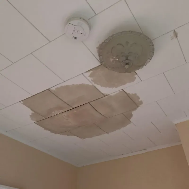 Ceiling Water Damage Repair in Dillonvale, OH