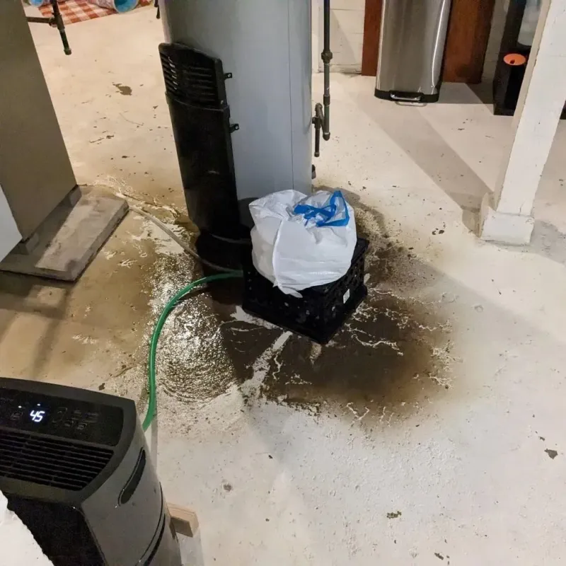 Sewage Backup Cleanup Service in Dillonvale, OH